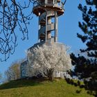 Frühling mit aussicht auf Sommer