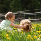 Frühling mit Freunden :-)