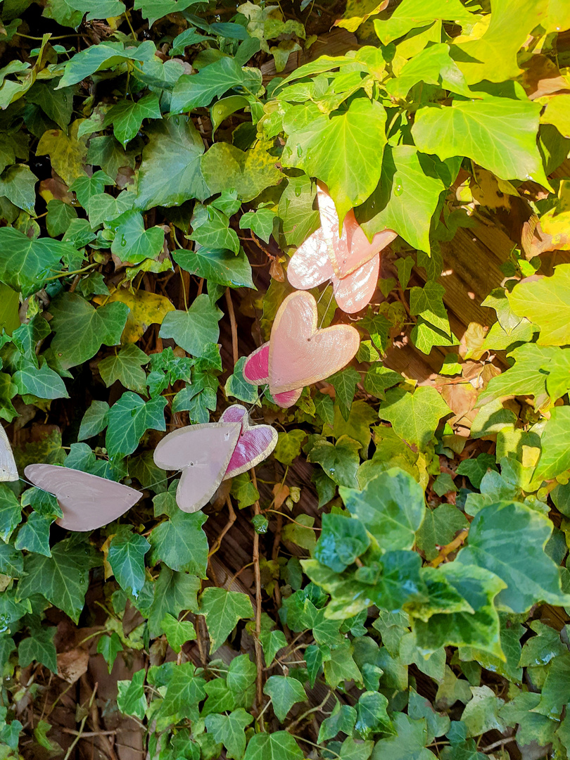                                                                " Frühling mit Herz "