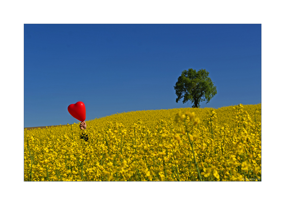 Frühling mit Herz