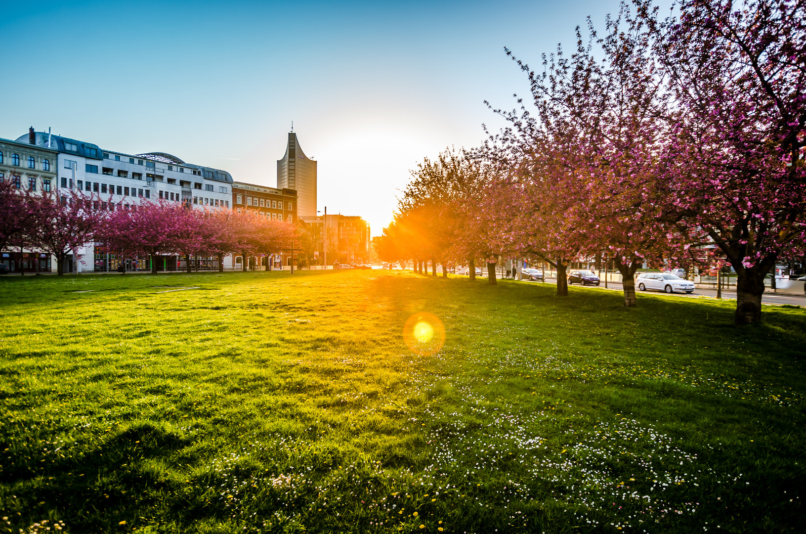 Frühling mit Kirschblüten an den Bäumen 