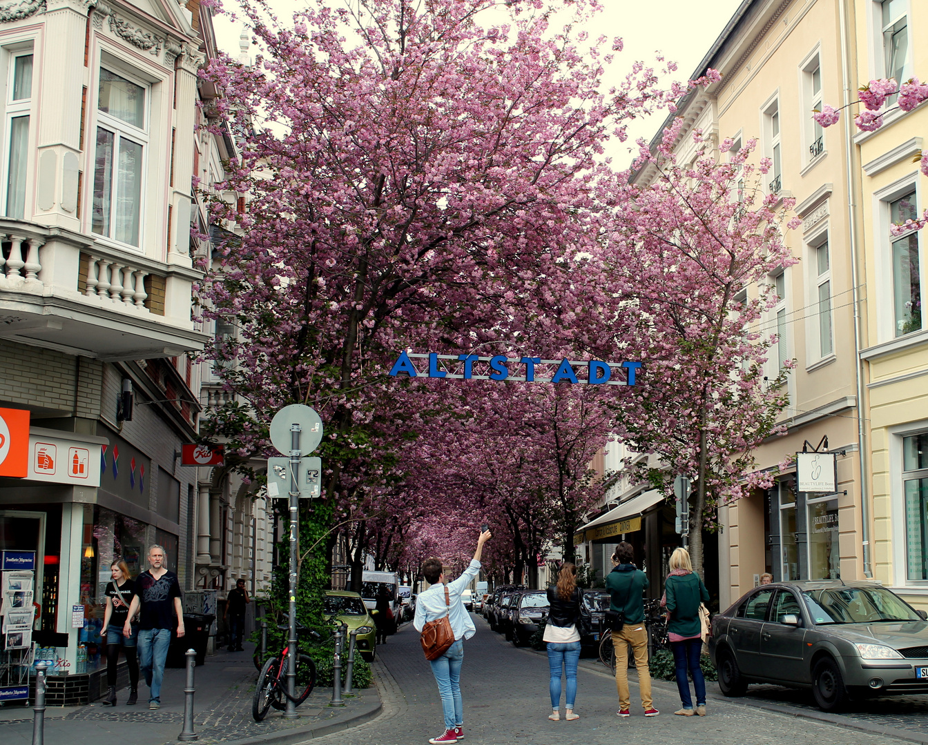 Frühling mit Ludwig