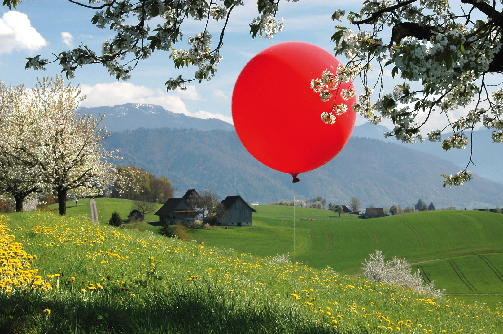 Frühling mit rotem Ballon