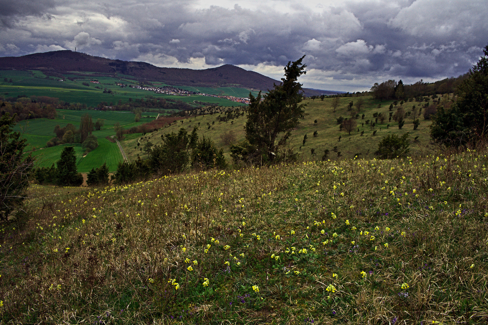 Frühling mit schöner Aussicht