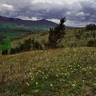 Frühling mit schöner Aussicht