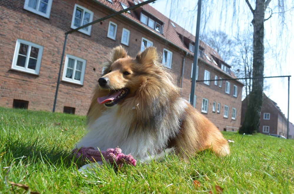 Frühling mit Tjure