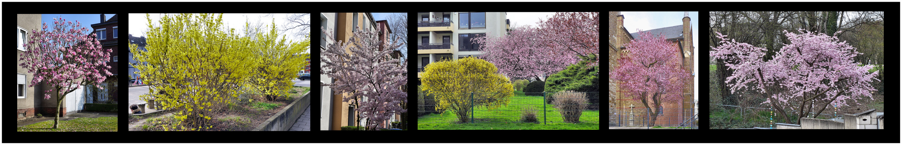 Frühling - mit voller Kraft voraus