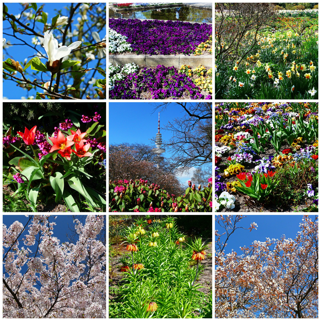 Frühling mitten in der Stadt