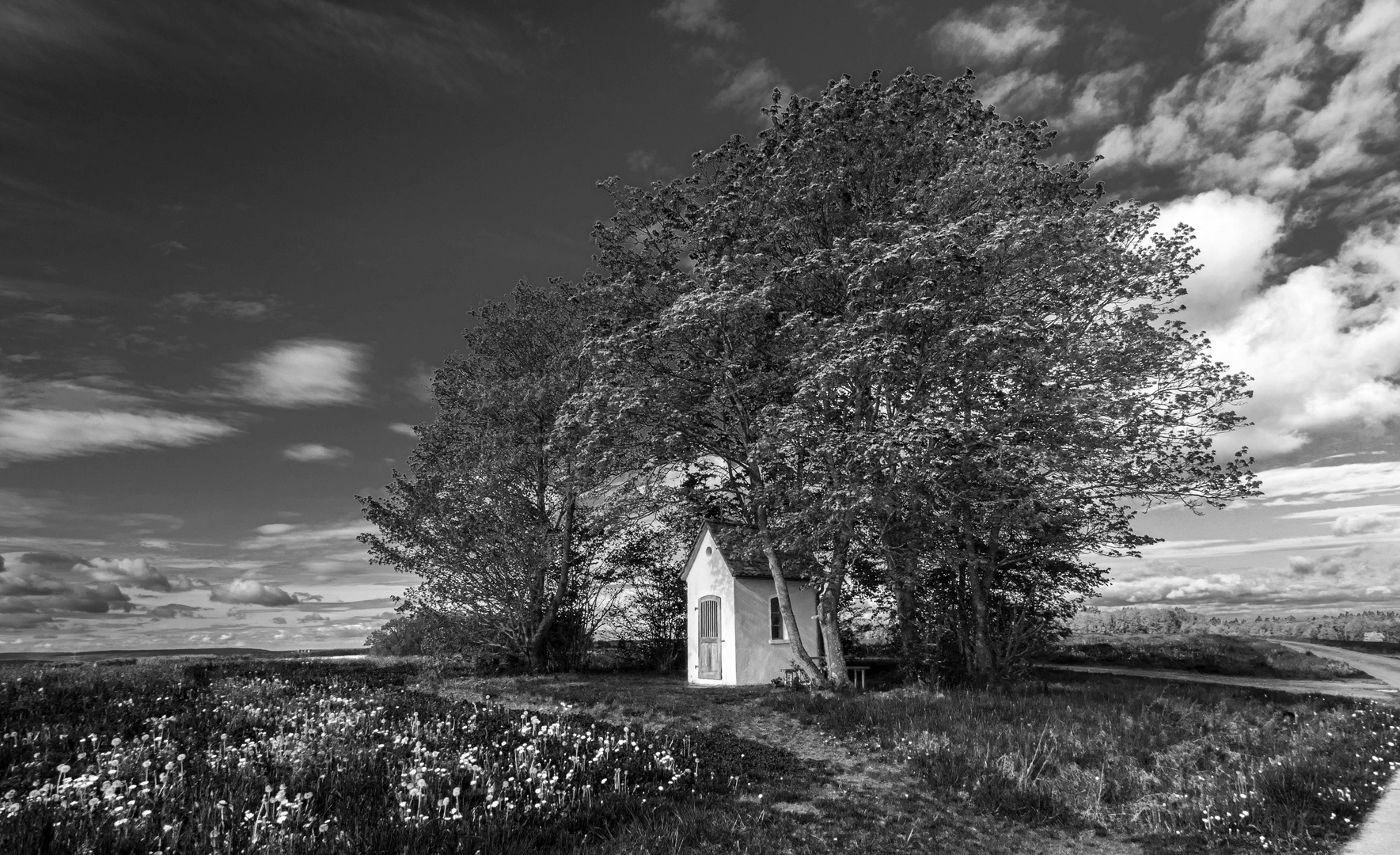 Frühling monochrom