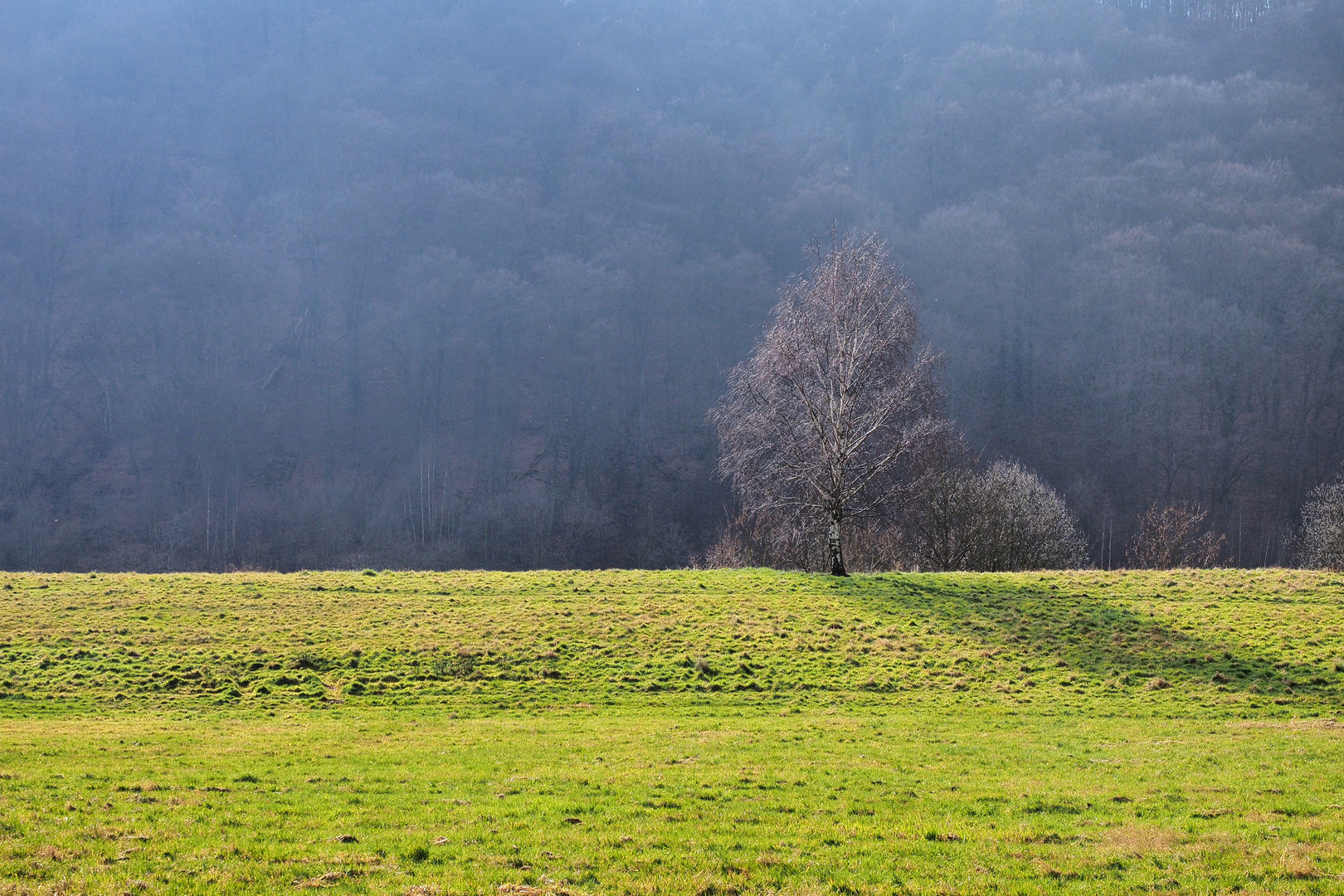 Frühling naht