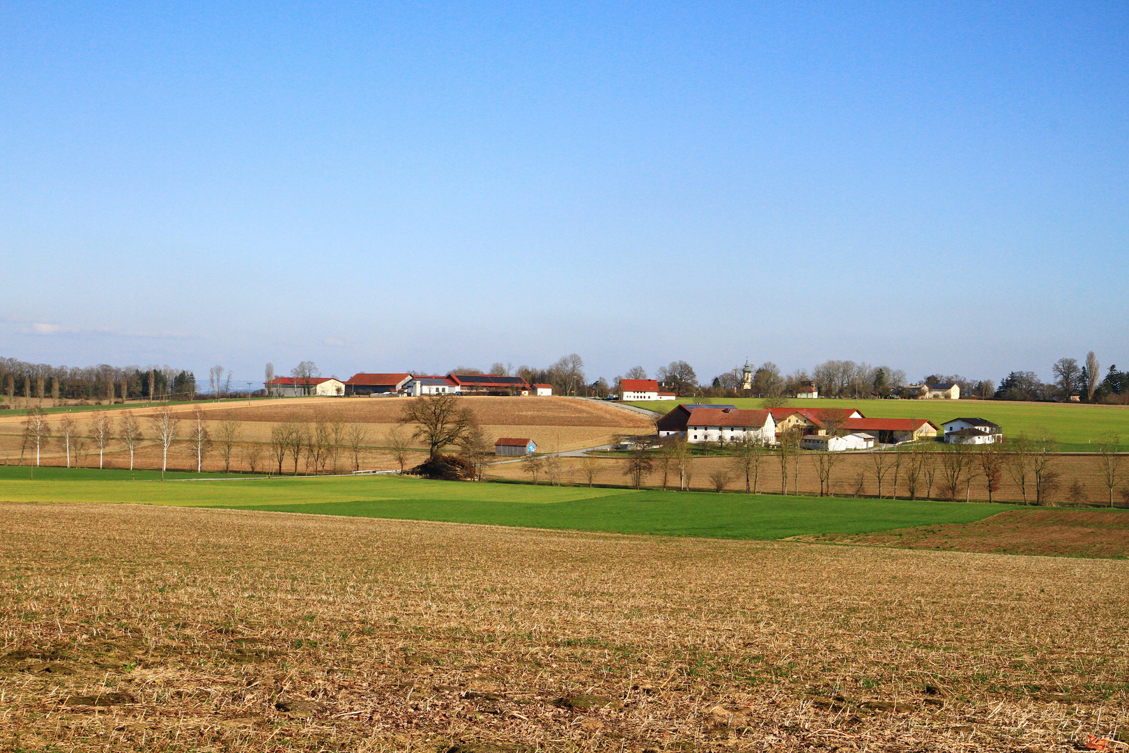 frühling naht