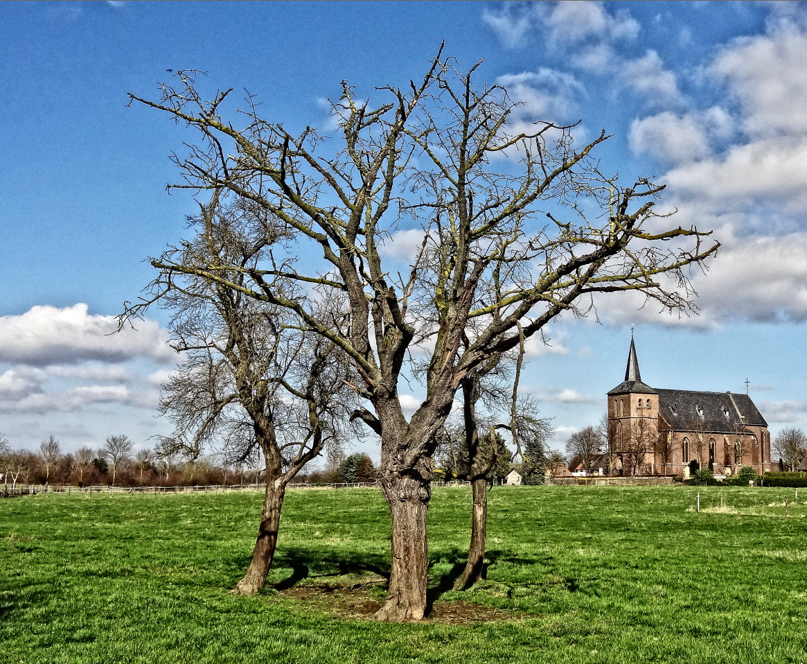 Frühling naht