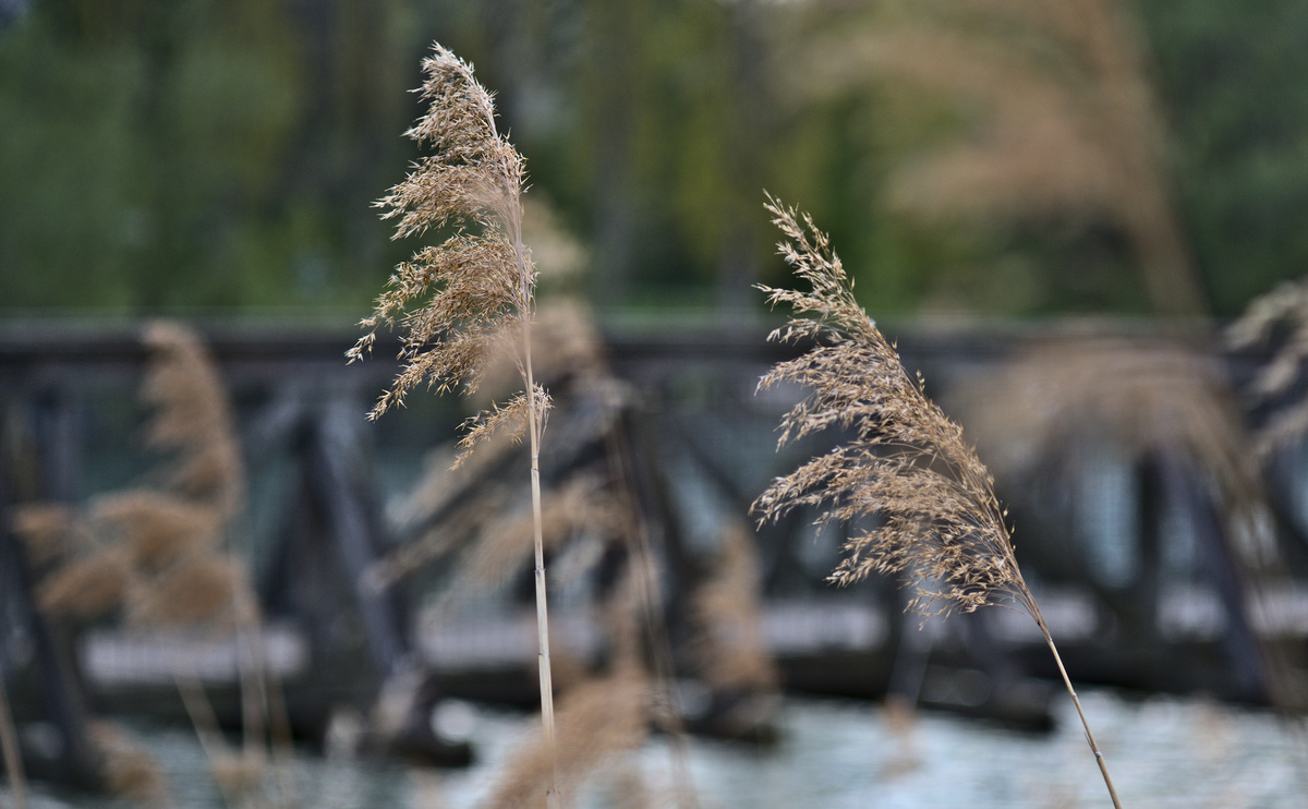 Frühling & Natur