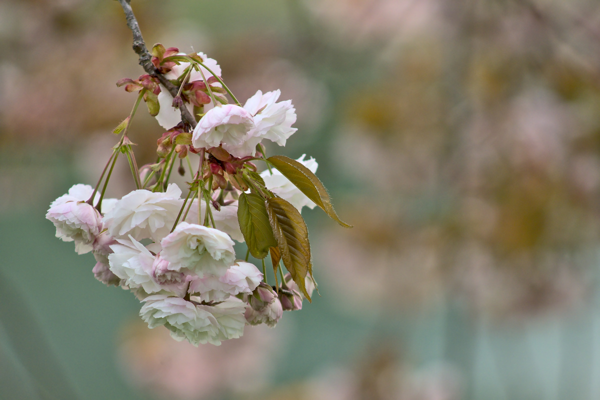 Frühling & Natur