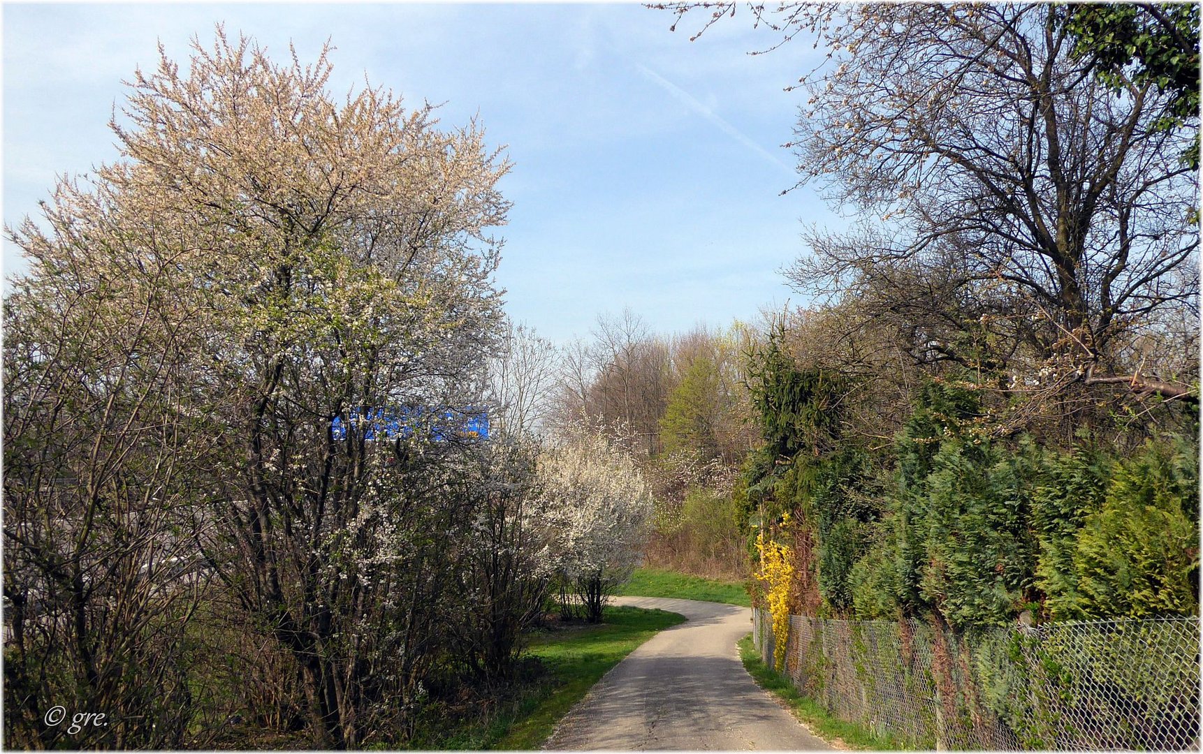 Frühling neben der A 8