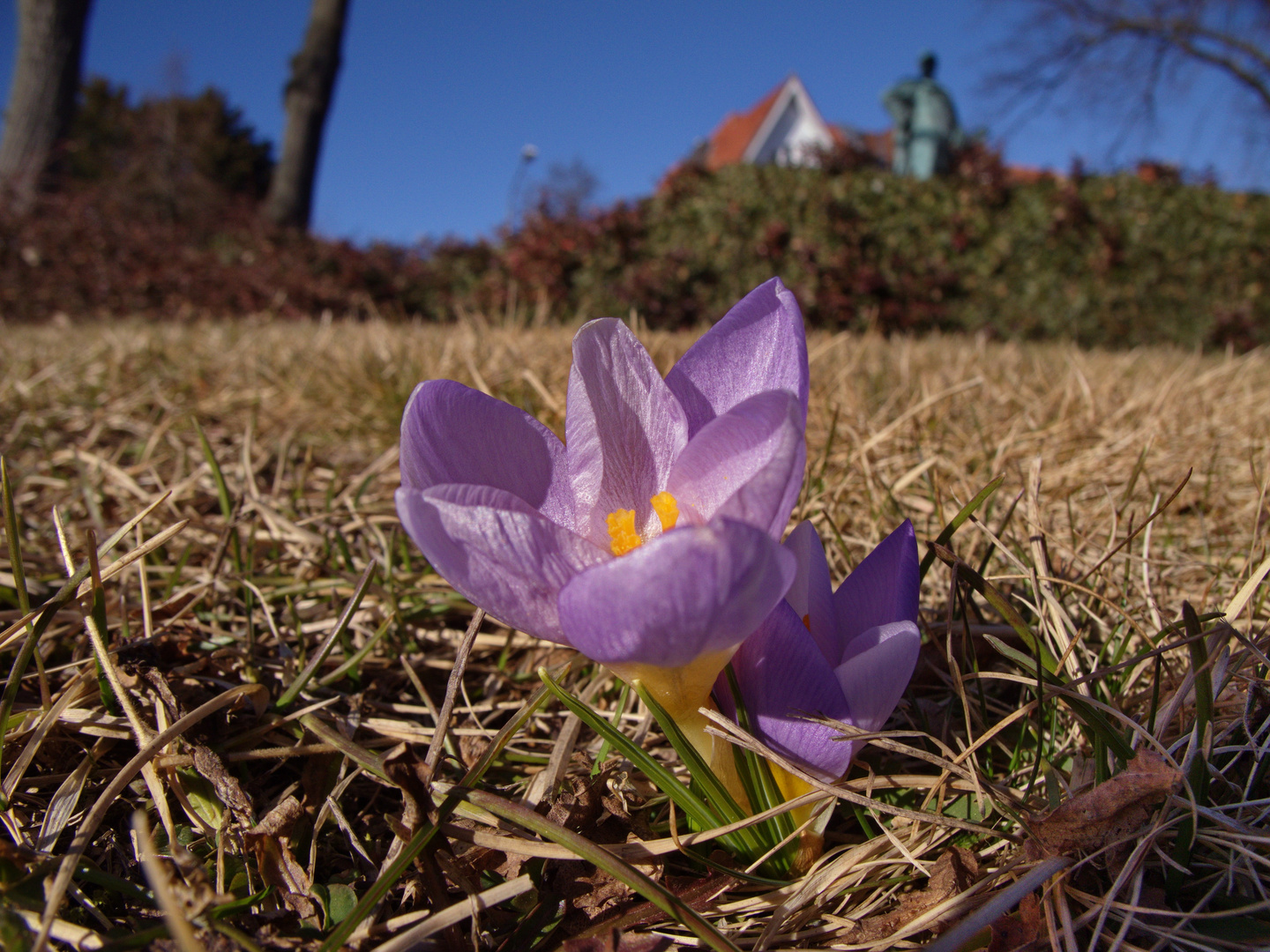 Frühling No.2