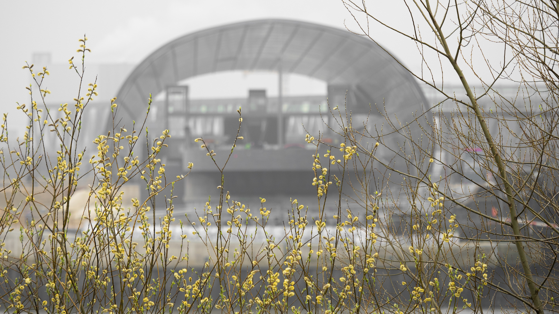 Frühling Norderelbe