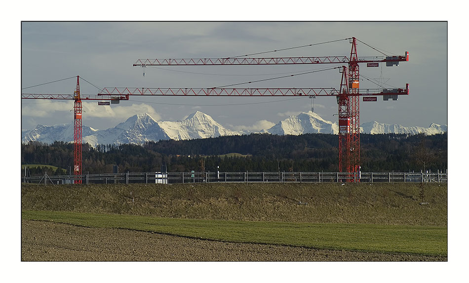 Frühling: nur mal die Kräne spriessen