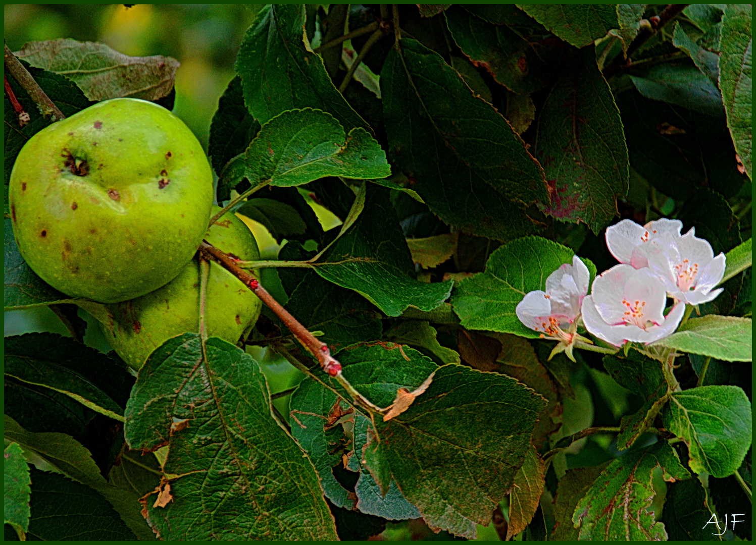 Frühling oder Herbst?