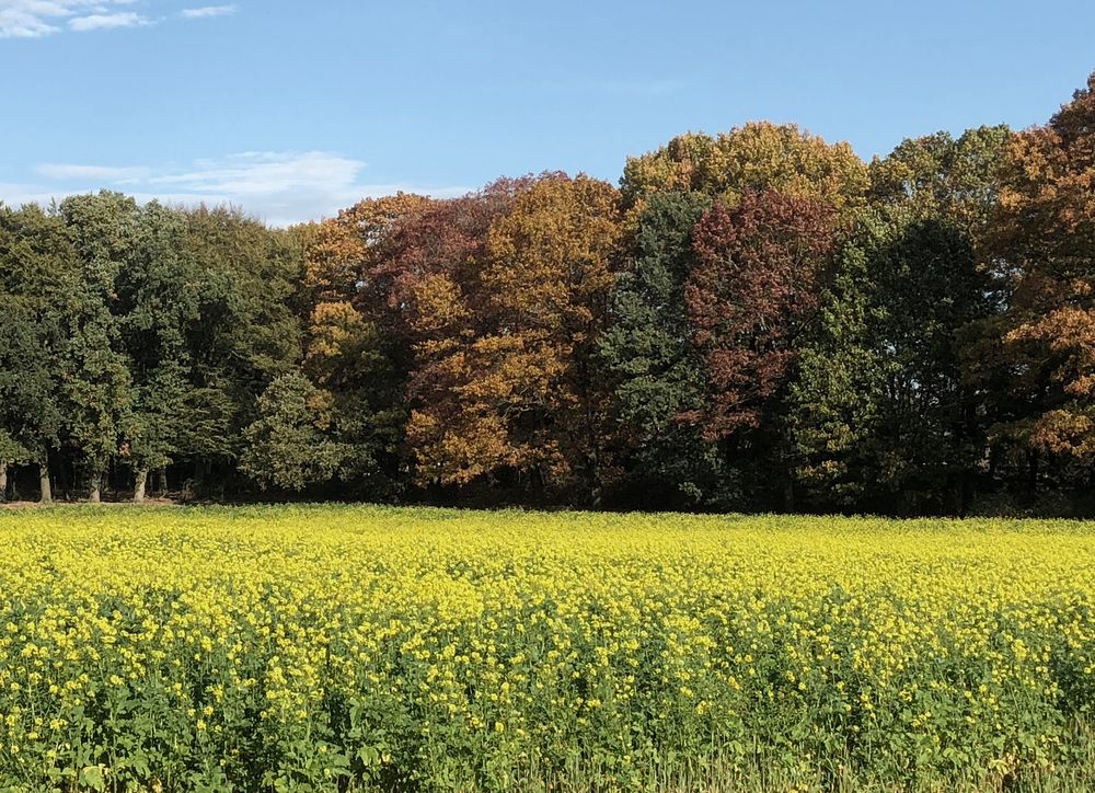 Frühling oder Herbst?