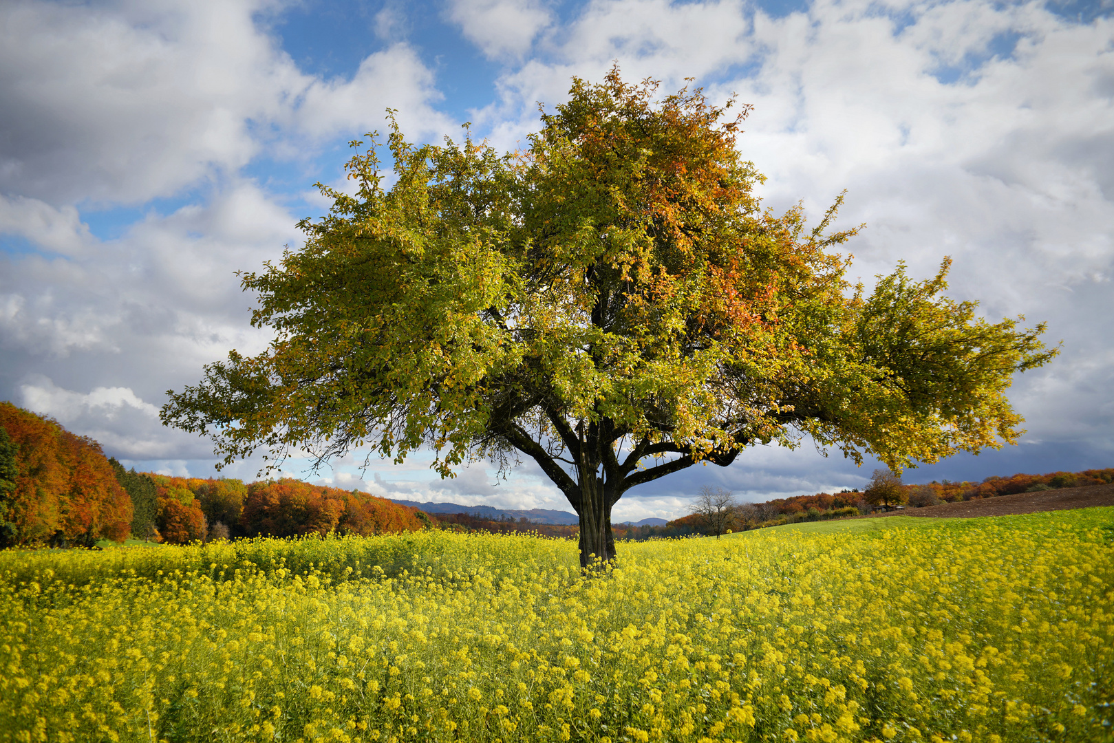 Frühling oder Herbst?