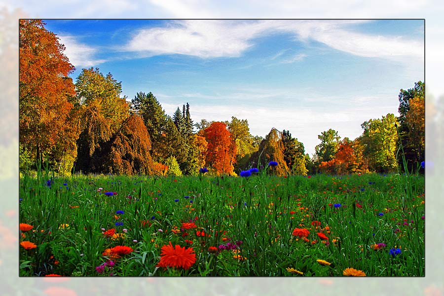 Frühling oder Herbst