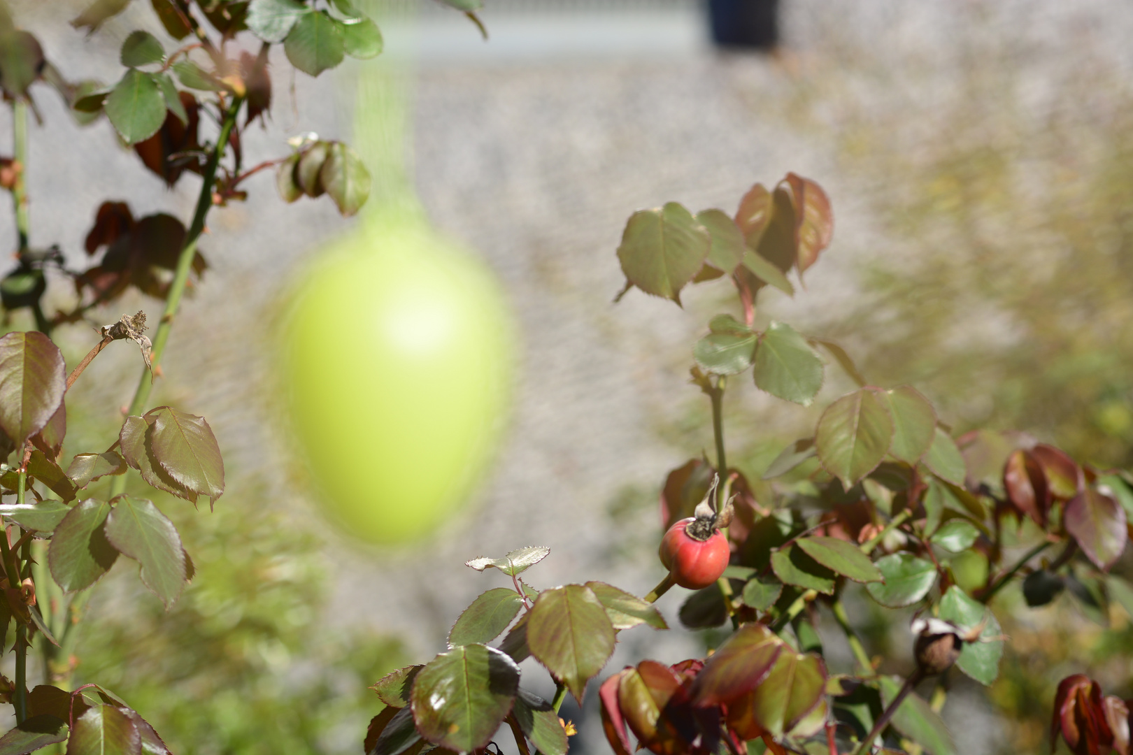 Frühling oder Herbst?