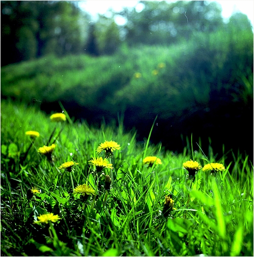 Frühling oder so