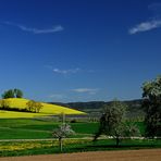 Frühling oder Sommer ???