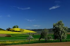 Frühling oder Sommer ???