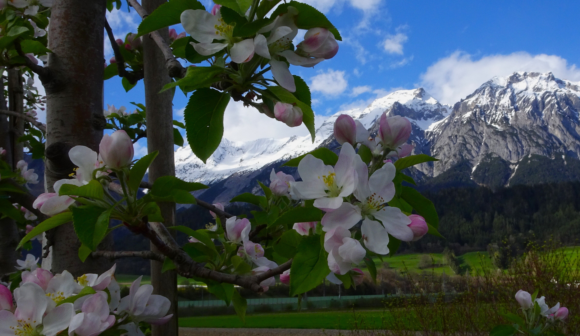 Frühling oder Winter...? 2