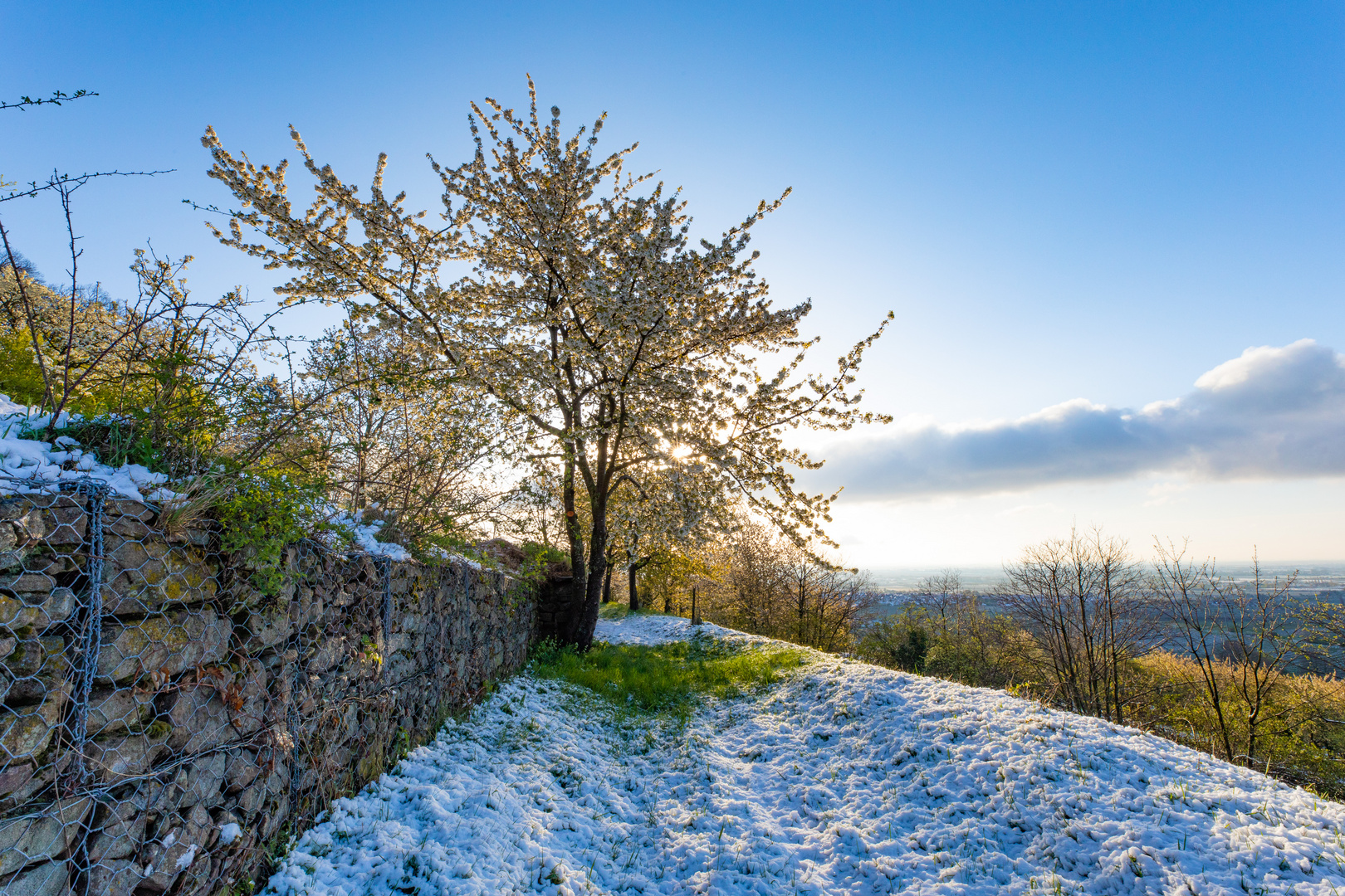 Frühling oder Winter