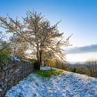 Frühling oder Winter