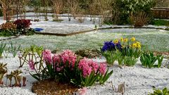 Frühling oder Winter???