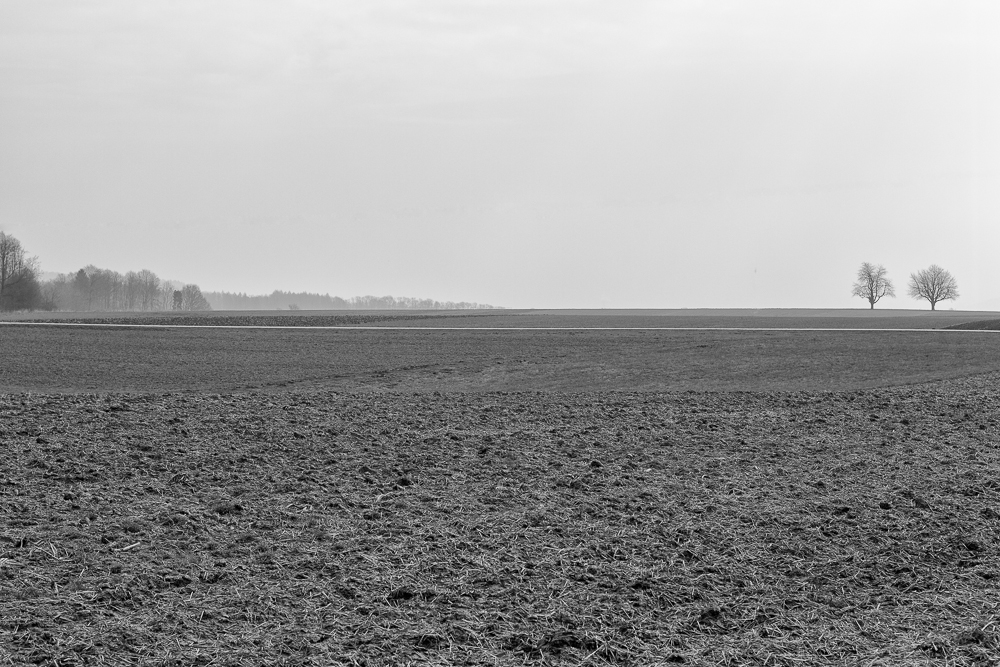 Frühling oder Winter ?