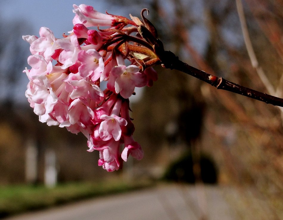 Frühling "on the air"