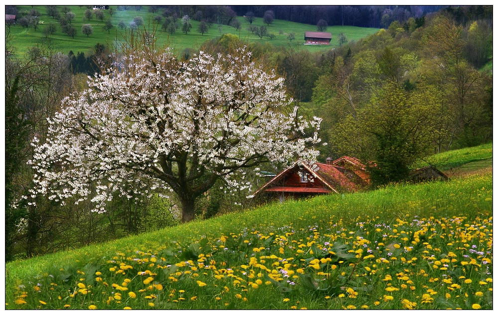 Frühling Part III