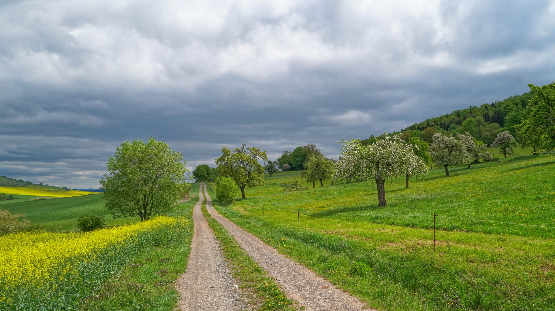 Frühling (primavera)