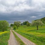 Frühling (primavera)