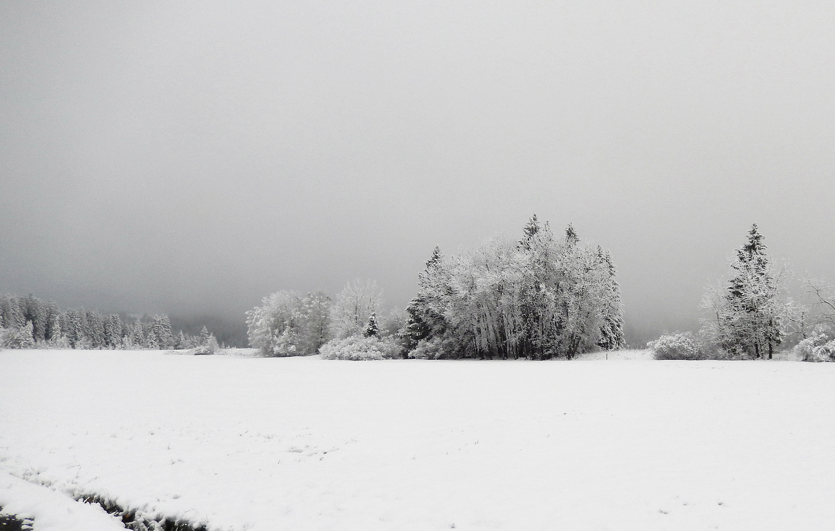 Frühling / Primavera / Printemps 2014...03