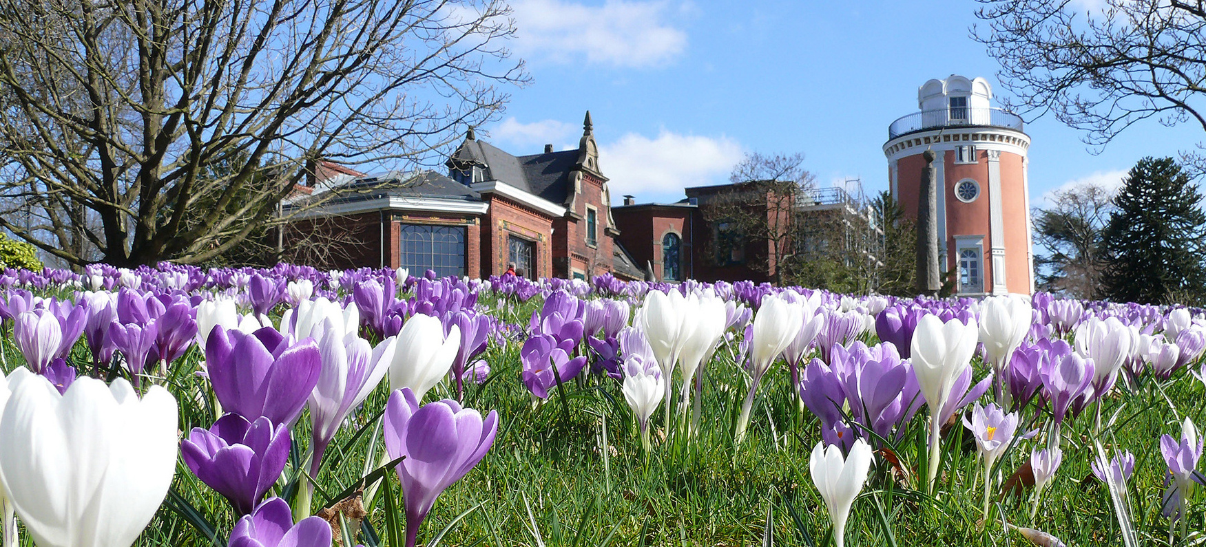 Frühling pur