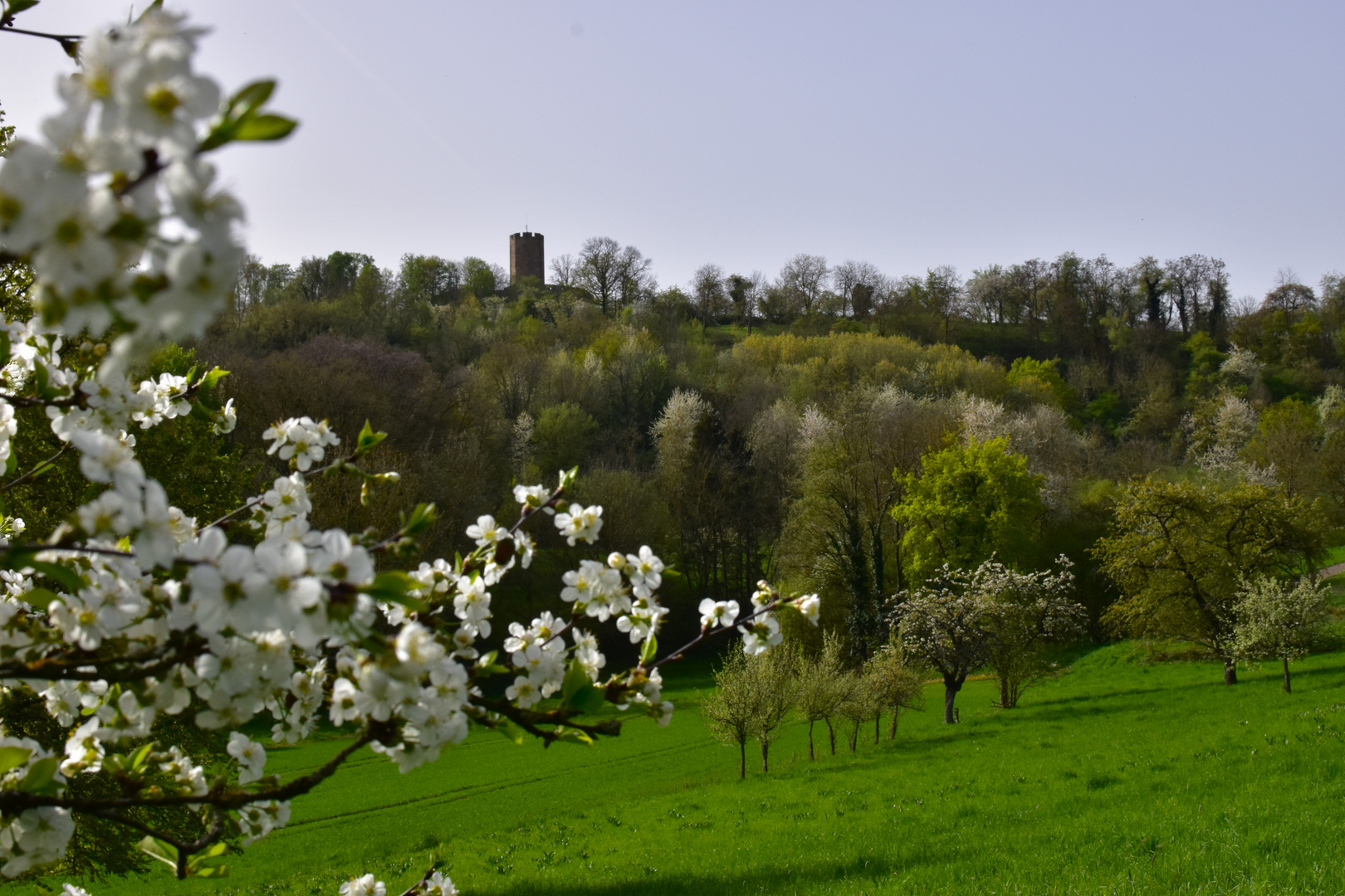 Frühling " PUR "