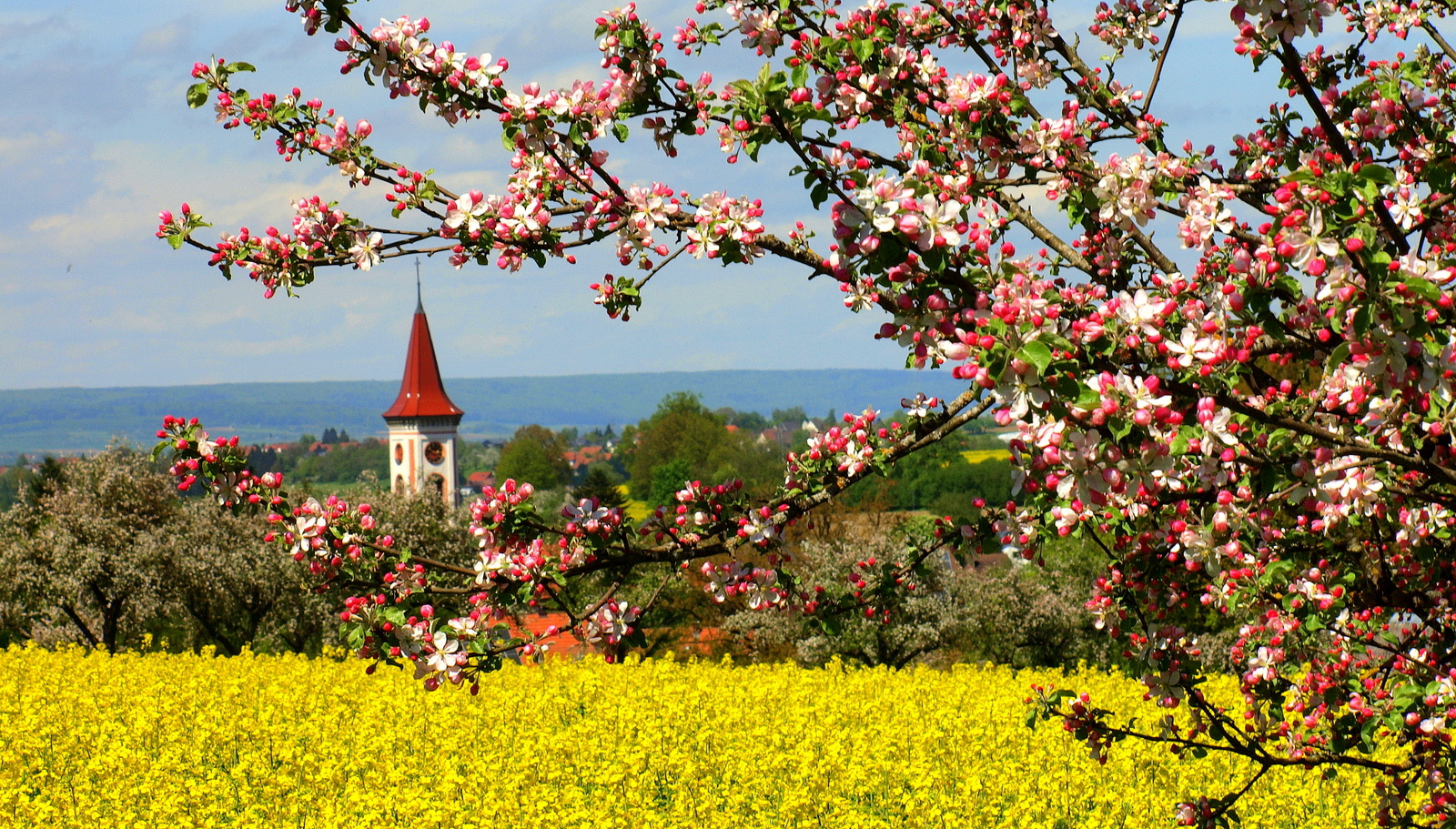 Frühling pur