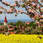 Frühling pur