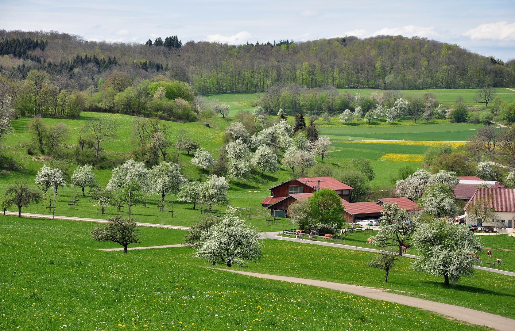 Frühling pur