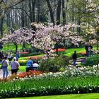 Frühling pur im Keukenhof