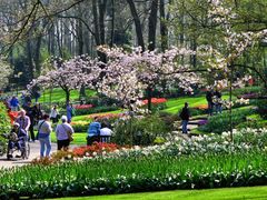 Frühling pur im Keukenhof