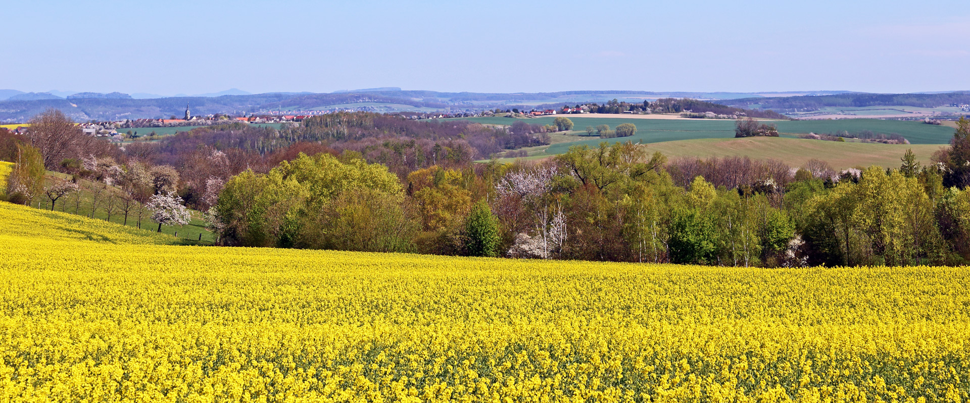 Frühling pur trotz der Trockenheit seit 4 Wochen im Elbtal