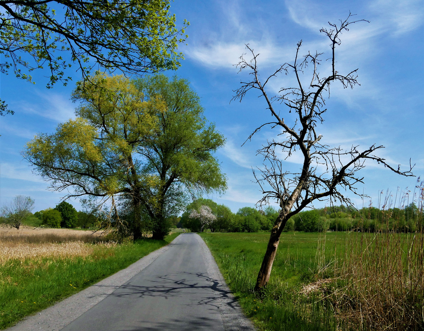 Frühling - Radtour 2022 in den Rieselfeldern von Münster