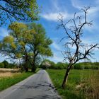 Frühling - Radtour 2022 in den Rieselfeldern von Münster